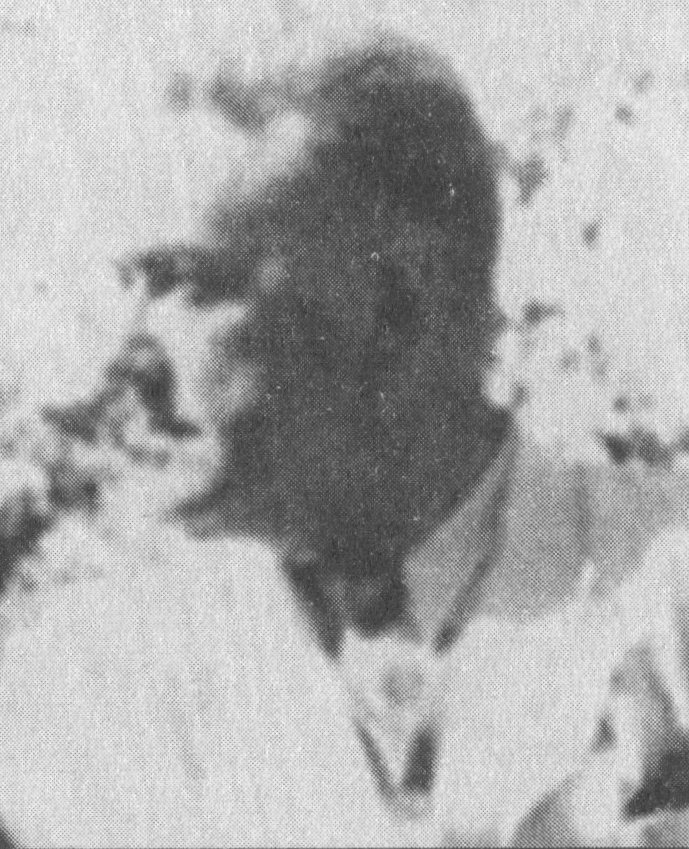 Zygmunt Aleksander Bugajski