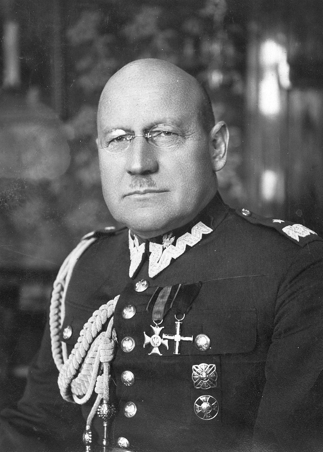 litwinowicz aleksander