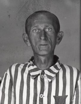 lubieniecki józef