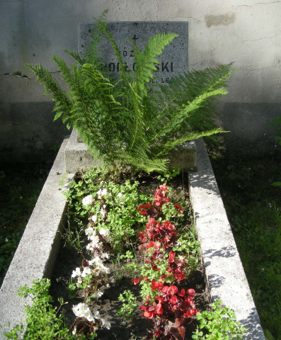 źródłowski józef