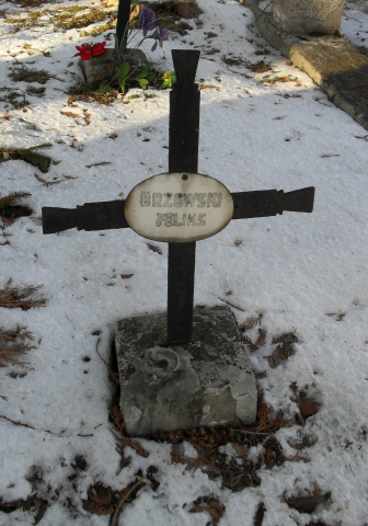 Feliks Brzozowski