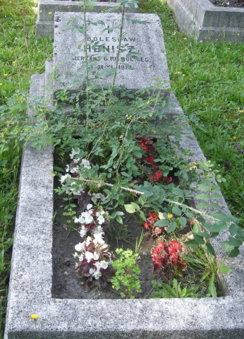 henisz andrzej