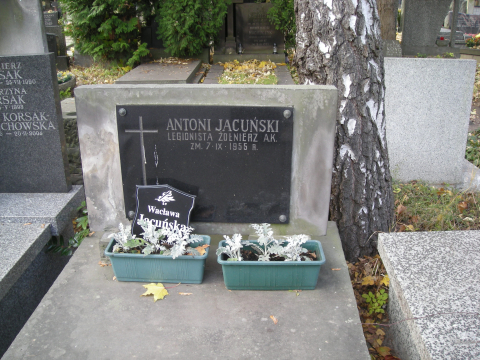 Antoni Jacuński